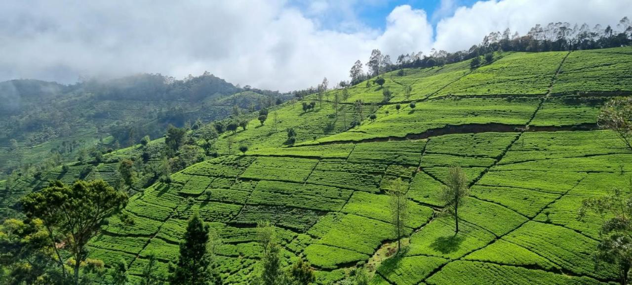 Blue Moon Hotel Nuwara Eliya Eksteriør bilde